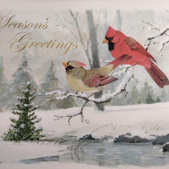 Blank Christmas Card Seasons Greetings Cardinal Birds Envelope Holiday - Picture 2 of 7